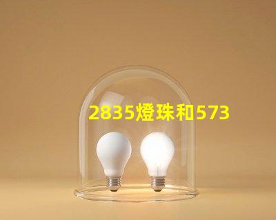 2835燈珠和5730哪個亮 2835燈珠參數電壓多少
